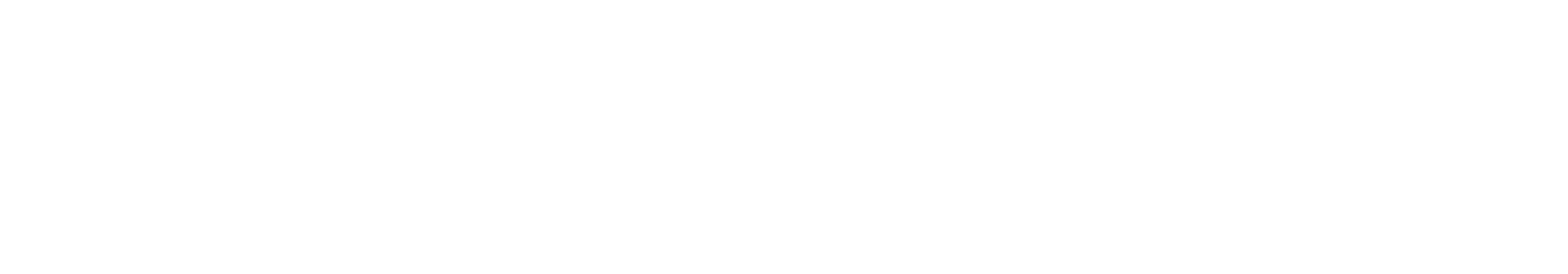 Gold Sponsor